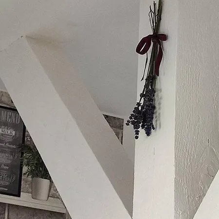 - Café Princ Pod Hradem, Klima, Wifi *